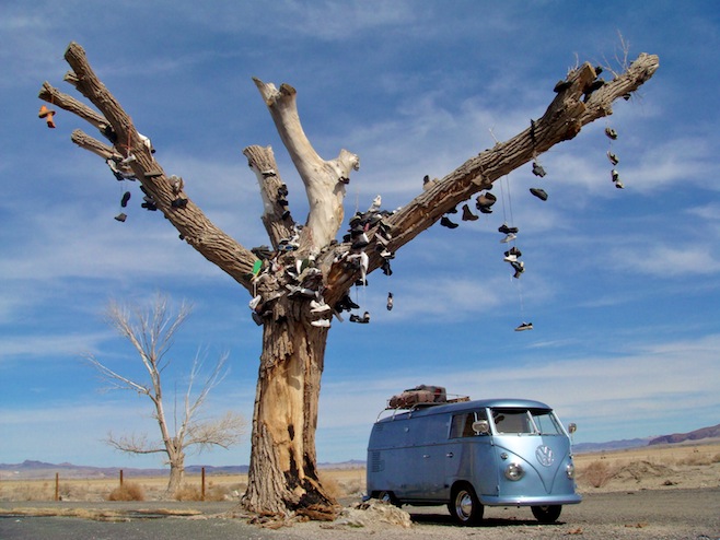 NV Shoe Tree